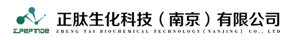 京式好多五仁月餅-中秋|月餅系列-長(cháng)春中之杰食品有限公司官網(wǎng)-長(cháng)春中之杰食品有限公司官網(wǎng)